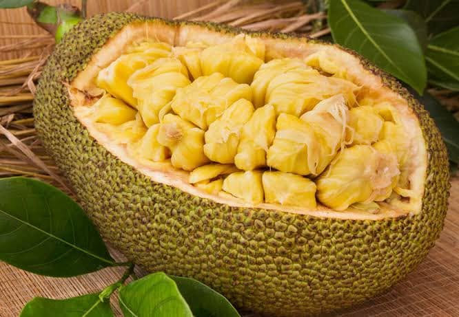  jackfruit season