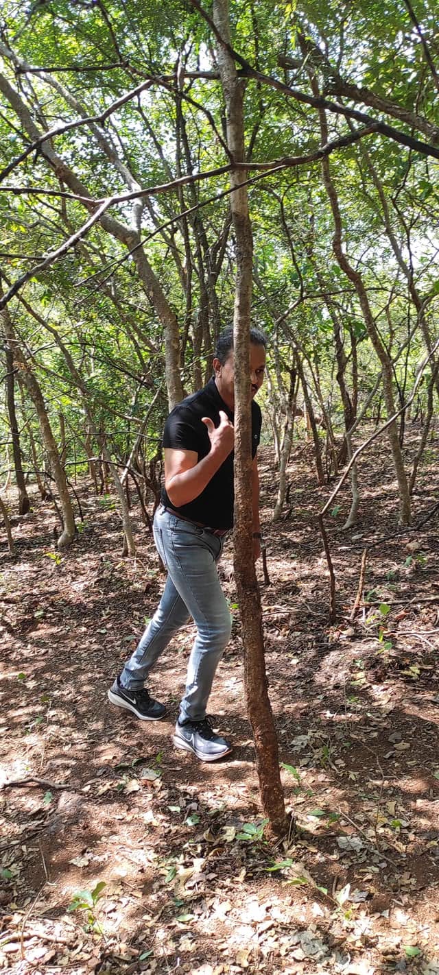 Field trip to Vikarabad forest.