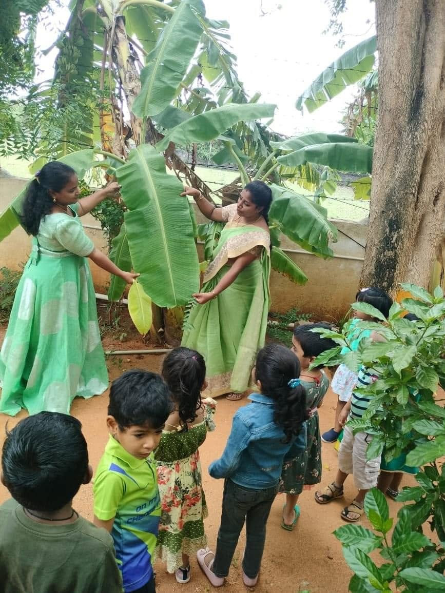 Tirupathi, Gannavaram, Vijayawada branches 