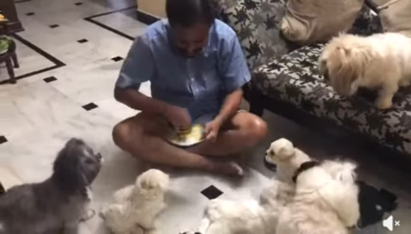 Babies feeding time !