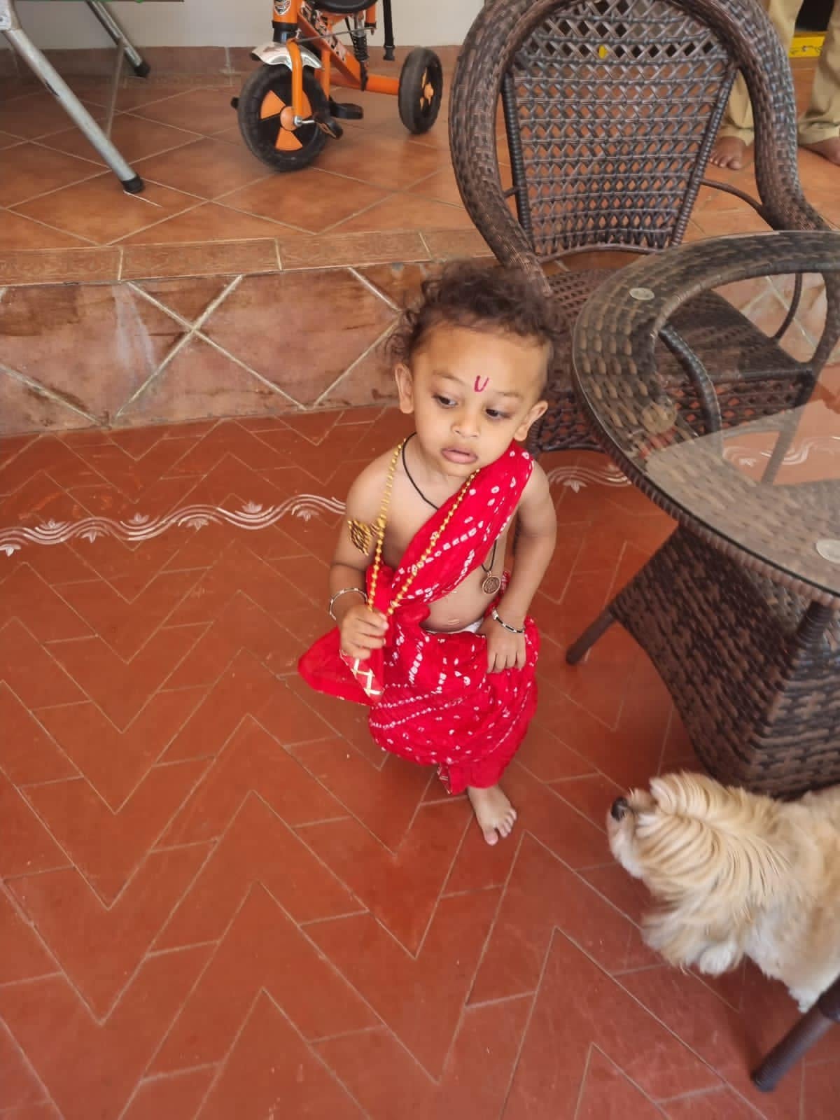 The Mischievous Little Girl