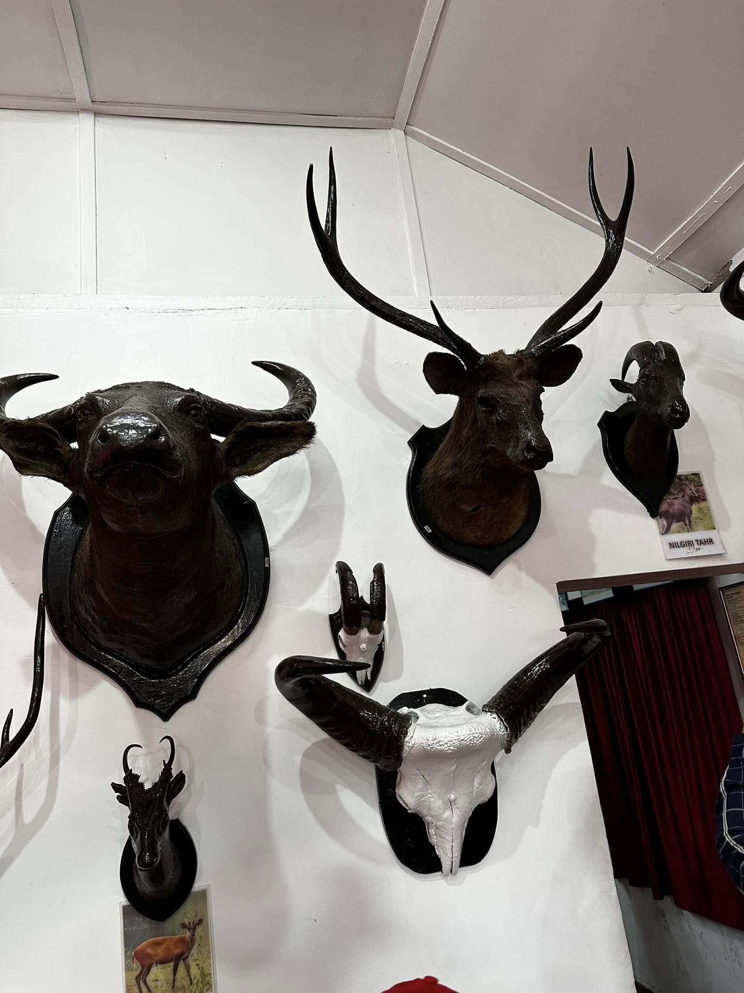 Antiques in tea museum.