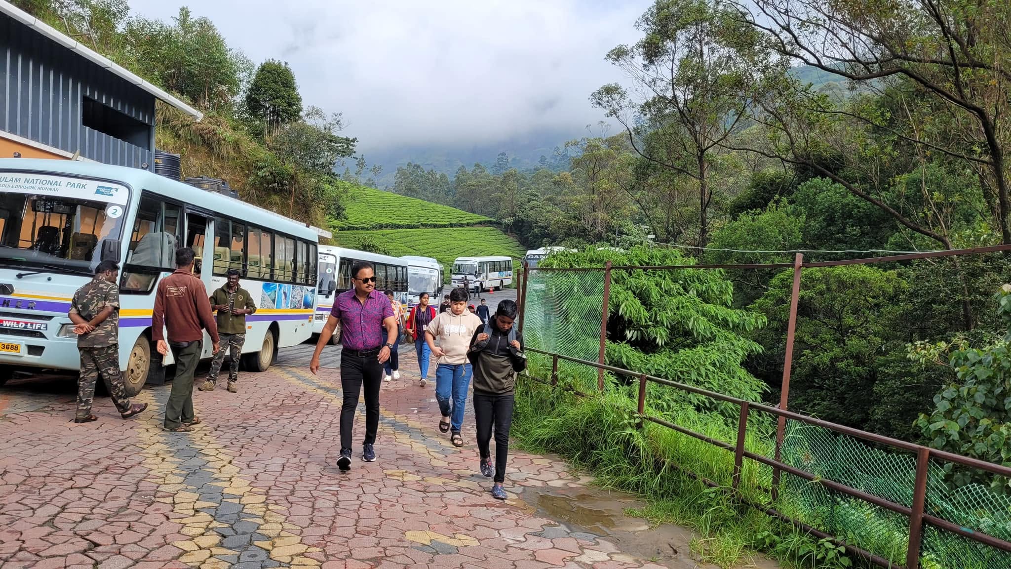 Yerivakulam National park - Anai Mudi