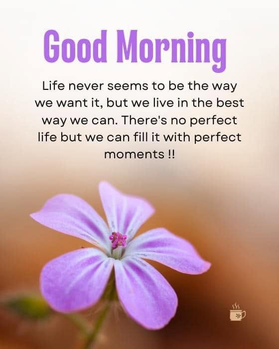 These are the quotations, moral messages and �Good Morning� messages that have appeared in WhatsApp groups so far today!
